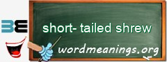 WordMeaning blackboard for short-tailed shrew